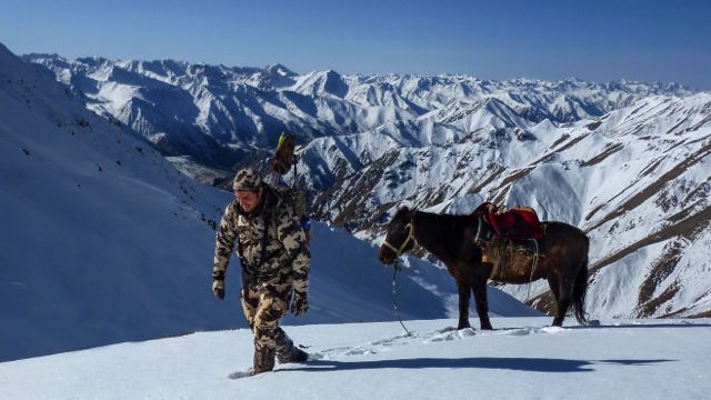 Hunting Kyrgyzstan Ibex Pedro Ampuero